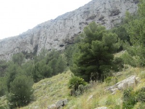 IMG_5112 (Medium)